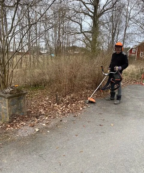 Trädgårdsröjning