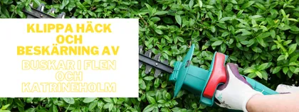 Häckklippning och beskärning av gröna buskar med häcksax i Flen och Katrineholm.
