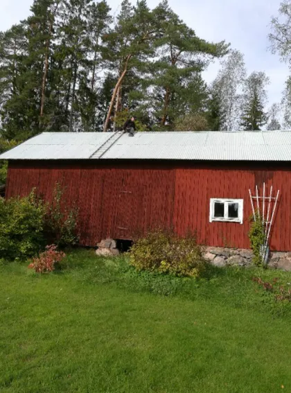 En röd trälada med korrugerat plåttak är centrerad i bilden. En person arbetar på taket och använder en stege för att komma åt. Grönt gräs, olika buskar och träd omger ladan, med ett skogsområde i bakgrunden.
