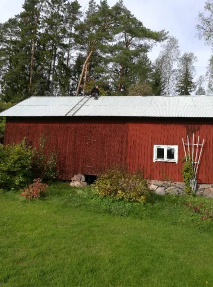 En röd trälada med korrugerat plåttak är centrerad i bilden. En person arbetar på taket och använder en stege för att komma åt. Grönt gräs, olika buskar och träd omger ladan, med ett skogsområde i bakgrunden.