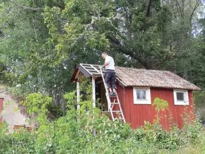 En person som står på en stege reparerar taket på ett litet rött träskjul med vit klädsel. Grönt löv omger skjulet och stora träd syns i bakgrunden. Scenen utspelar sig utomhus en solig dag.
