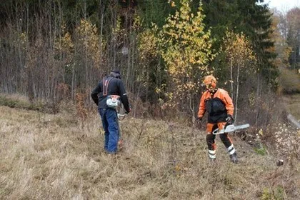 Två medarbetare från Boing All-Service med motorsåg och skyddsutrustning vid slyröjning i höstskog.