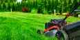 En närbild av en gräsklippare som skär genom frodigt, grönt gräs på en välskött trädgård. Bakgrunden visar en hög grön häck och några buskar, vilket indikerar en trädgårdsmiljö. Fokus ligger på gräsklipparens främre del då den fungerar på gräset.