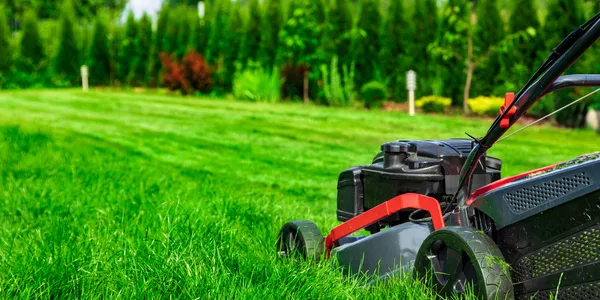 En närbild av en gräsklippare som skär genom frodigt, grönt gräs på en välskött trädgård. Bakgrunden visar en hög grön häck och några buskar, vilket indikerar en trädgårdsmiljö. Fokus ligger på gräsklipparens främre del då den fungerar på gräset.