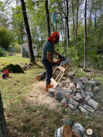 En person som bär skyddsutrustning, inklusive en orange hjälm och hörselskydd, använder en motorsåg för att såga stockar i en utomhusmiljö omgiven av träd. Stockarna är staplade bredvid dem, och ett litet vitt skjul syns i bakgrunden.