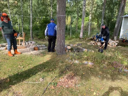 Tre personer som arbetar i ett skogsområde. En person använder en motorsåg, en annan staplar stockar på en sågbock och den tredje är vänd bort från kameran, iklädd en blå jacka. Avskurna stockar är utspridda på marken. Träd och grönska fyller bakgrunden.